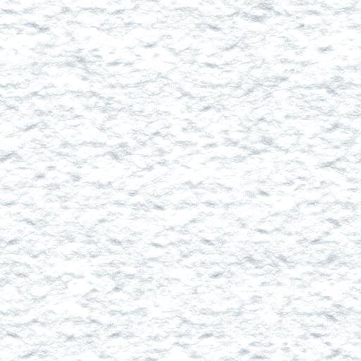 data/trunk/images/textures/snowyWhite.jpg