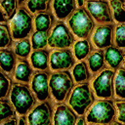 data/trunk/maps/green_cells.gif
